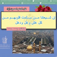 مواليد الأئمة(ع)